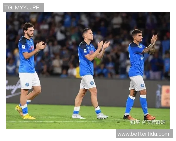 意甲赛事观众投诉处理结果分析与改进建议探讨